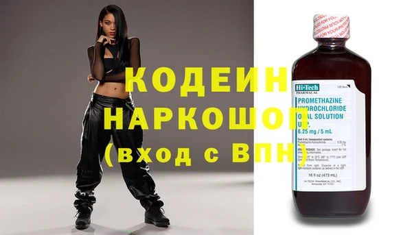 прущие грибы Вязники