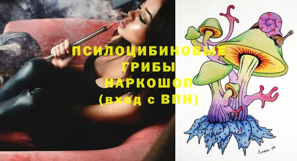 дурь Горняк