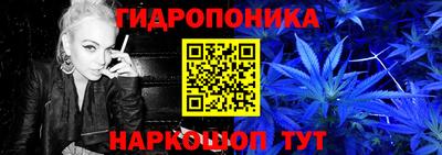 гашик Моздок