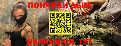 гашик Моздок