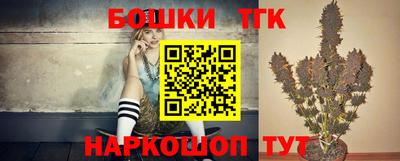 гашик Моздок
