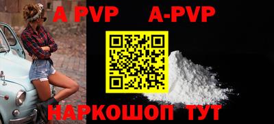 гашик Моздок