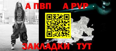 гашик Моздок
